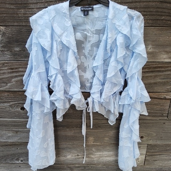 PrettyLittleThing Tops - Prettylittlething Baby Blue Floral Organza Ruffled Sheer Tie Crop Top Size 4